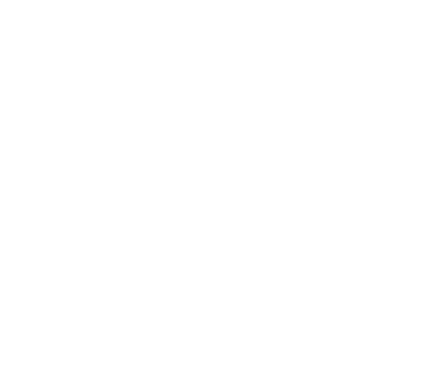 logo-blanc Logo Blanc